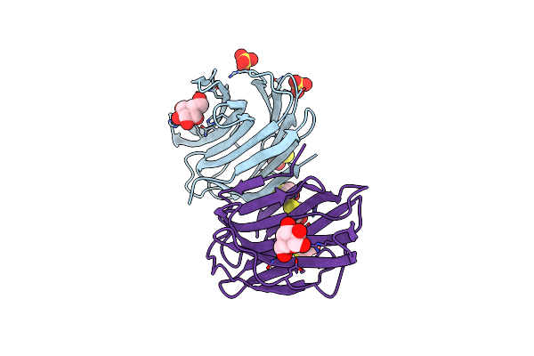 1W6M image