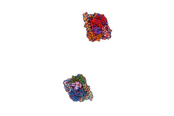 1W85 image