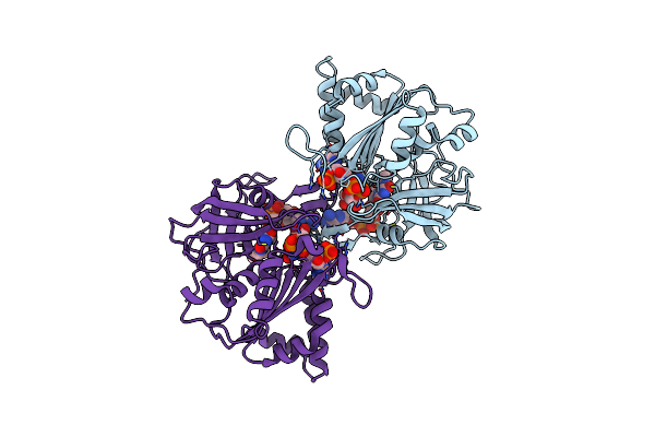 1W87 image