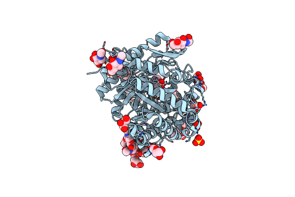 1W9D image