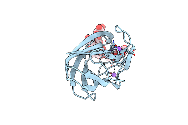 1W9W image