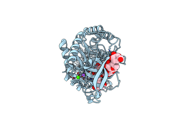 1W9X image