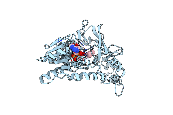 1WAM image