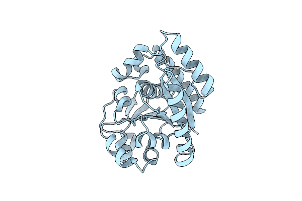 1WCV image