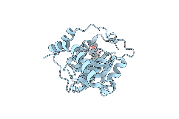 1WD5 image
