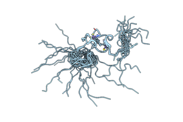 1WFP image
