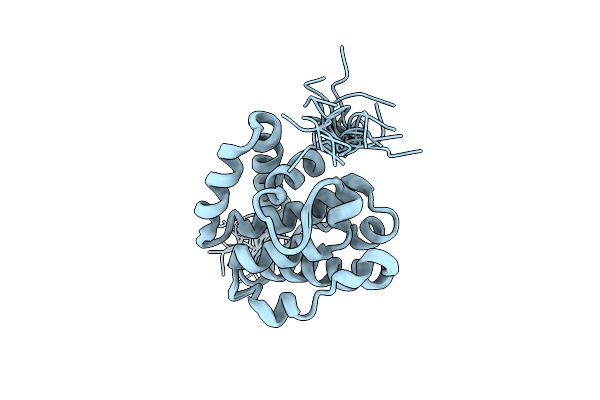 1WIX image