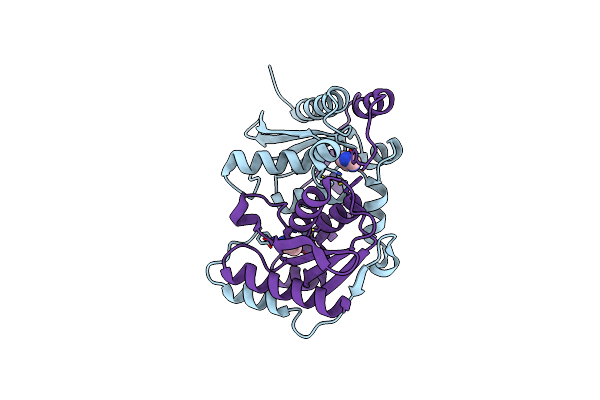 1WKQ image