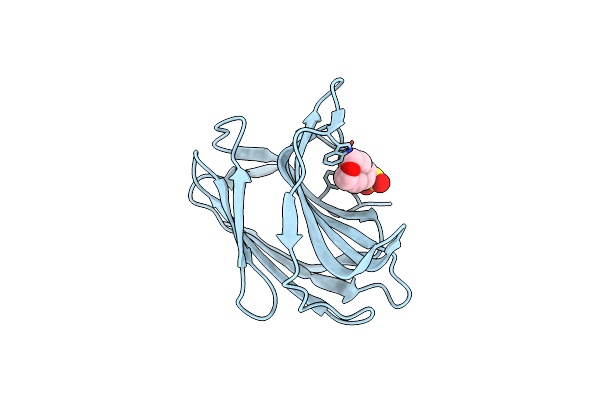 1WLC image