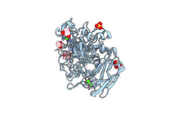 1WMD image