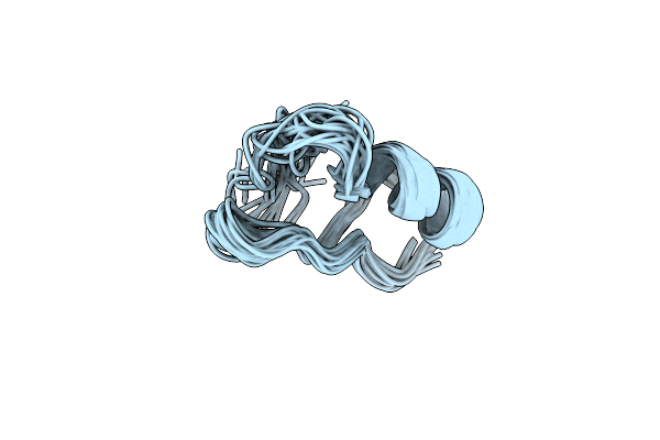 1WPD image