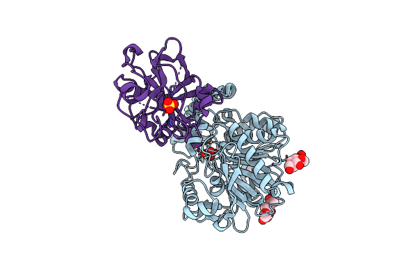 1WPX image