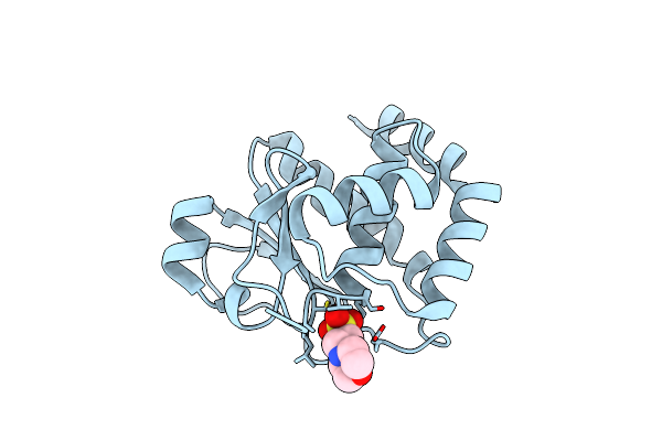 1WRM image