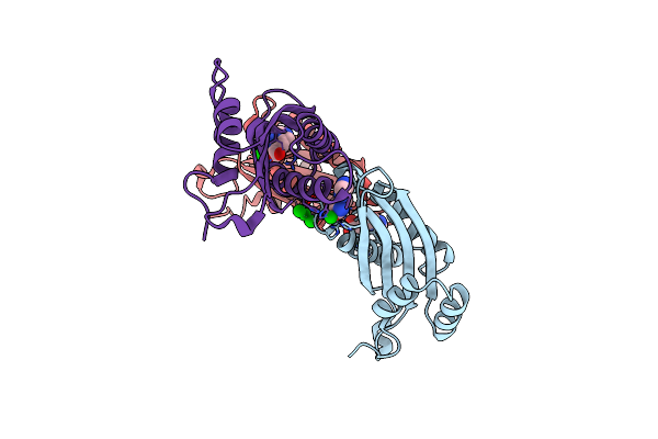 1WRO image