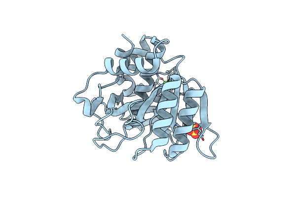 1WSD image