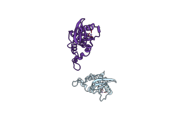 1WSE image