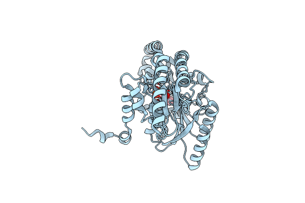 1WST image