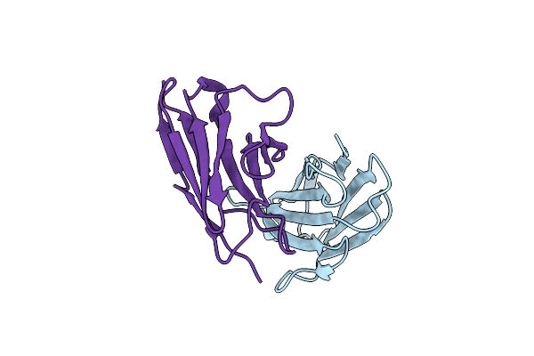 1WTL image