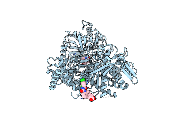 1WV1 image