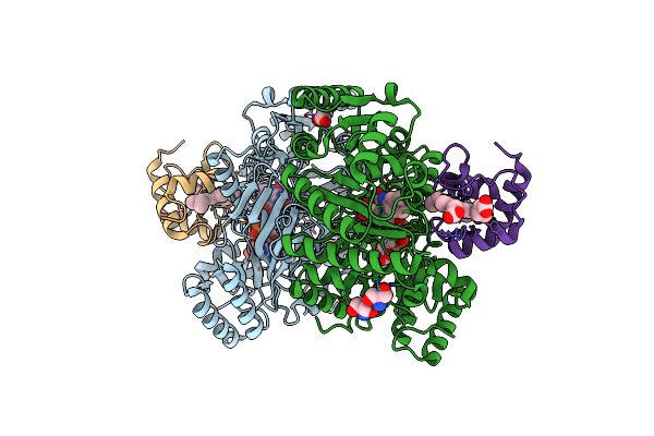 1WVE image