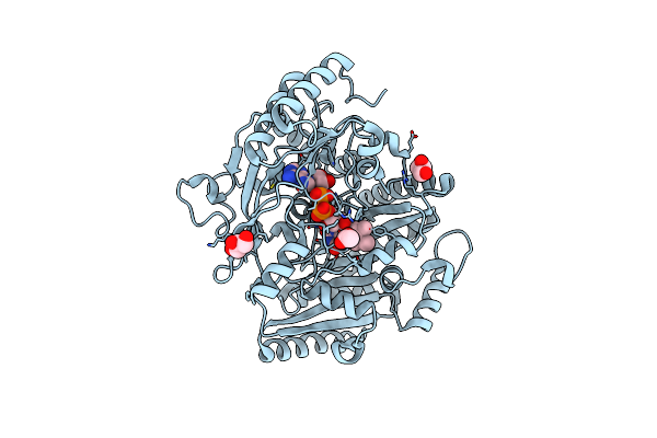1WVF image