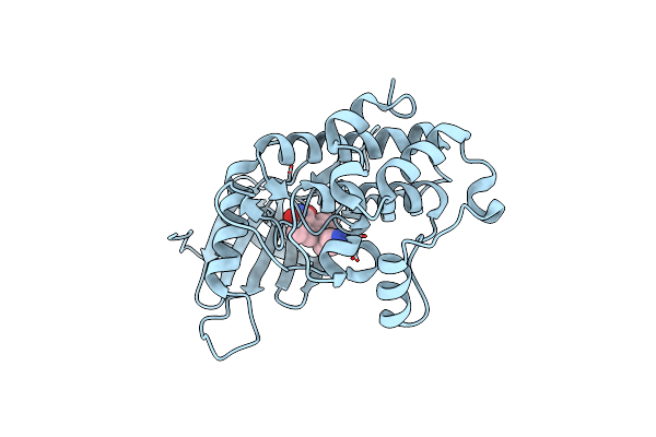 1WVX image