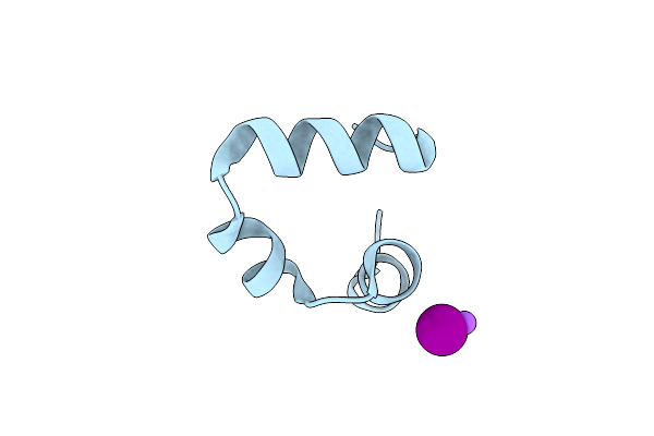 1WY4 image