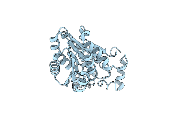 1X1E image