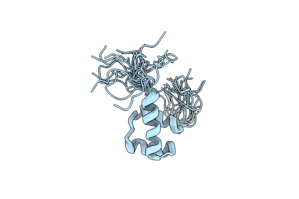 1X2M image