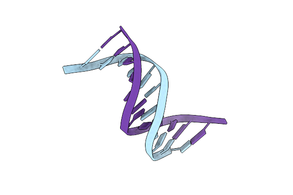 1X2Z image