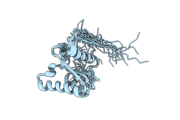 1X52 image