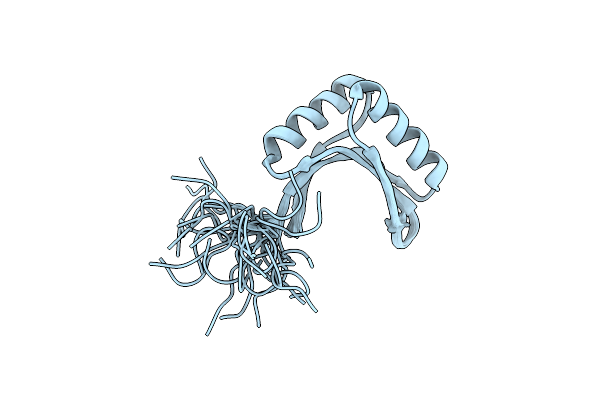 1X60 image