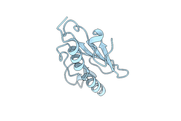 1X6P image