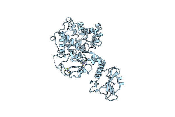 1XA6 image