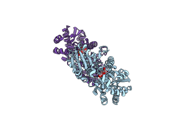 1XAI image