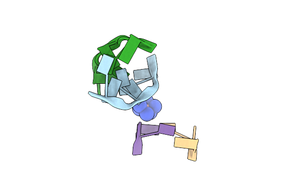 1XAM image
