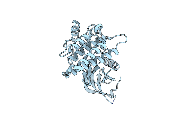 1XBA image