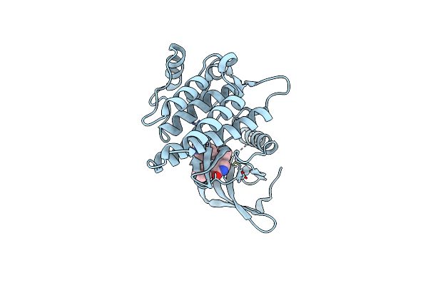 1XBC image