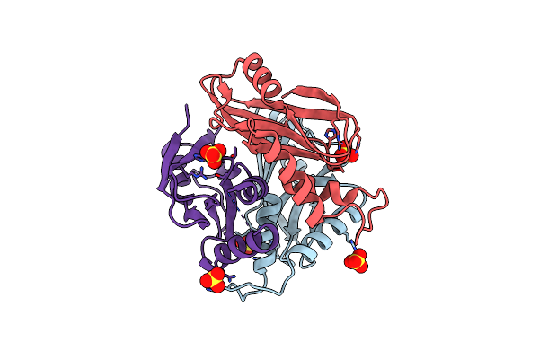 1XBF image