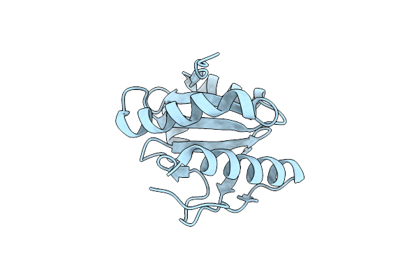 1XBS image