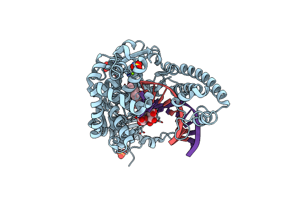 1XC9 image