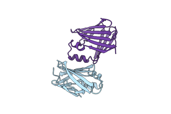 1XCA image
