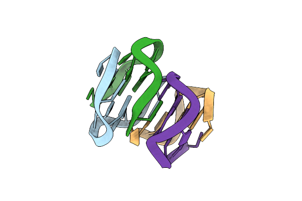 1XCE image