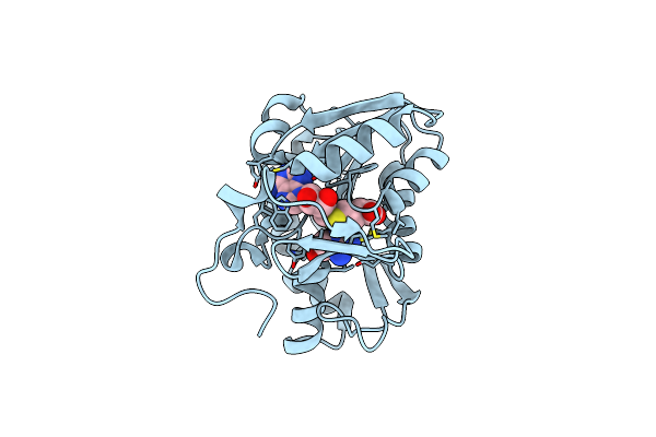 1XCJ image