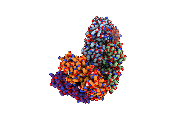 1XCO image