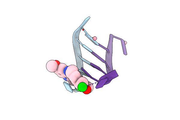 1XCS image