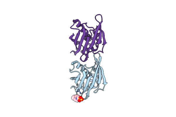 1XDF image