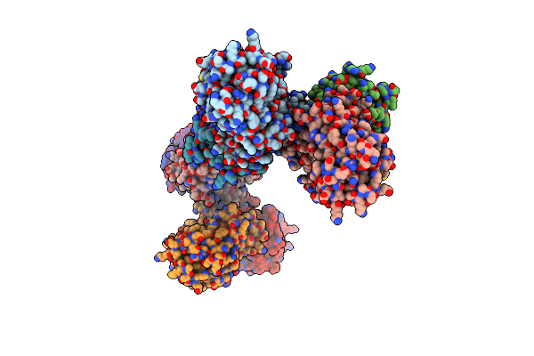 1XDM image