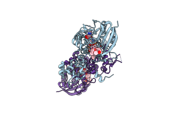 1XDS image