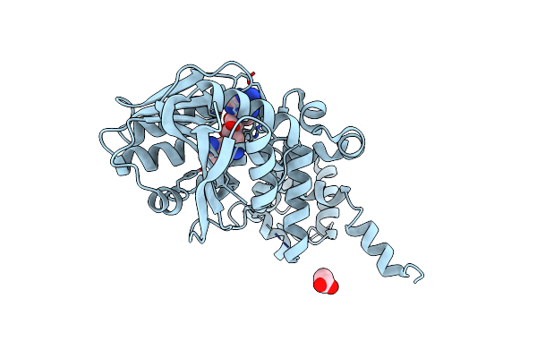 1XDU image